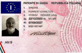 Driving License Legal Consultation Service